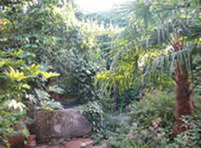 Casa Rural Corvina Acebo Exterior foto
